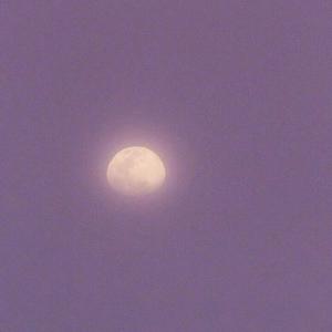 亚洲一区二区三区写真
